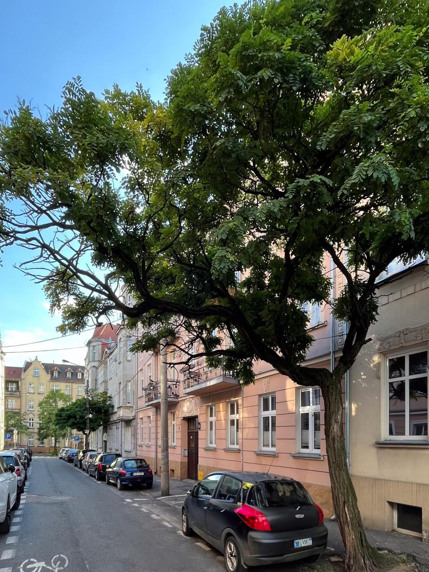 Apartament Dlugosza 3 - Jak W Domu - Idealny Na Dlugie Pobyty I Weekendy Быдгощ Экстерьер фото
